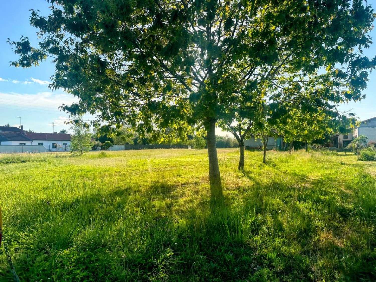  à vendre terrain Bessières Haute-Garonne 3