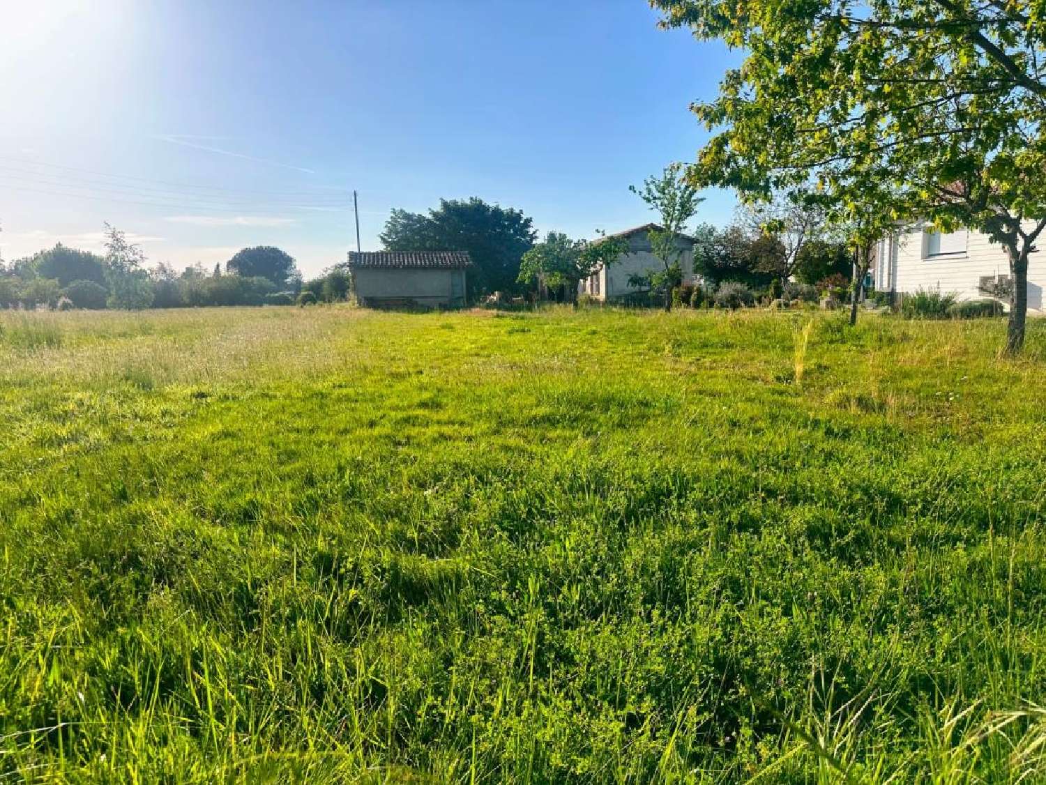  à vendre terrain Bessières Haute-Garonne 4