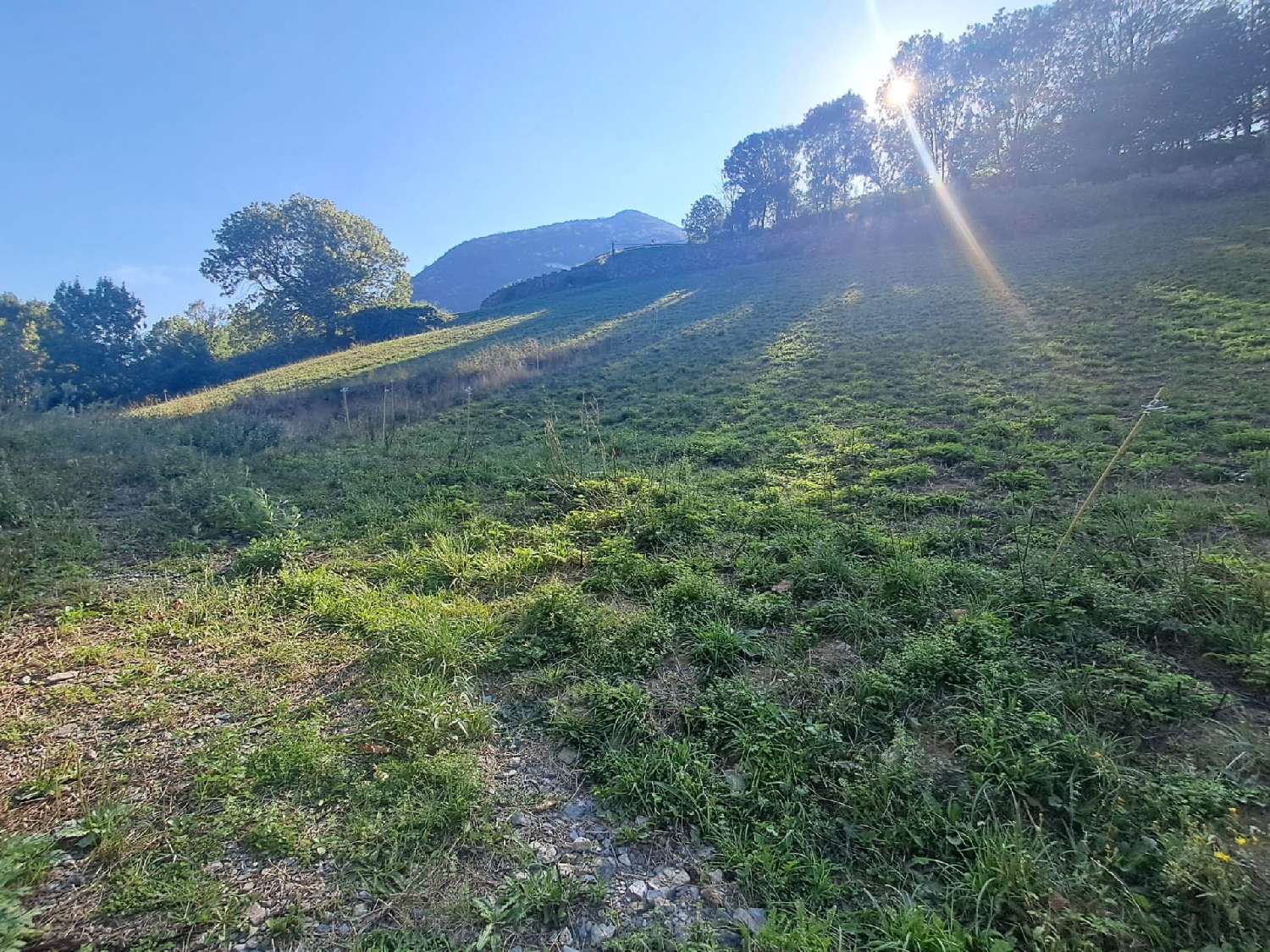 kaufen Grundstück Beyrède-Jumet Hautes-Pyrénées 1