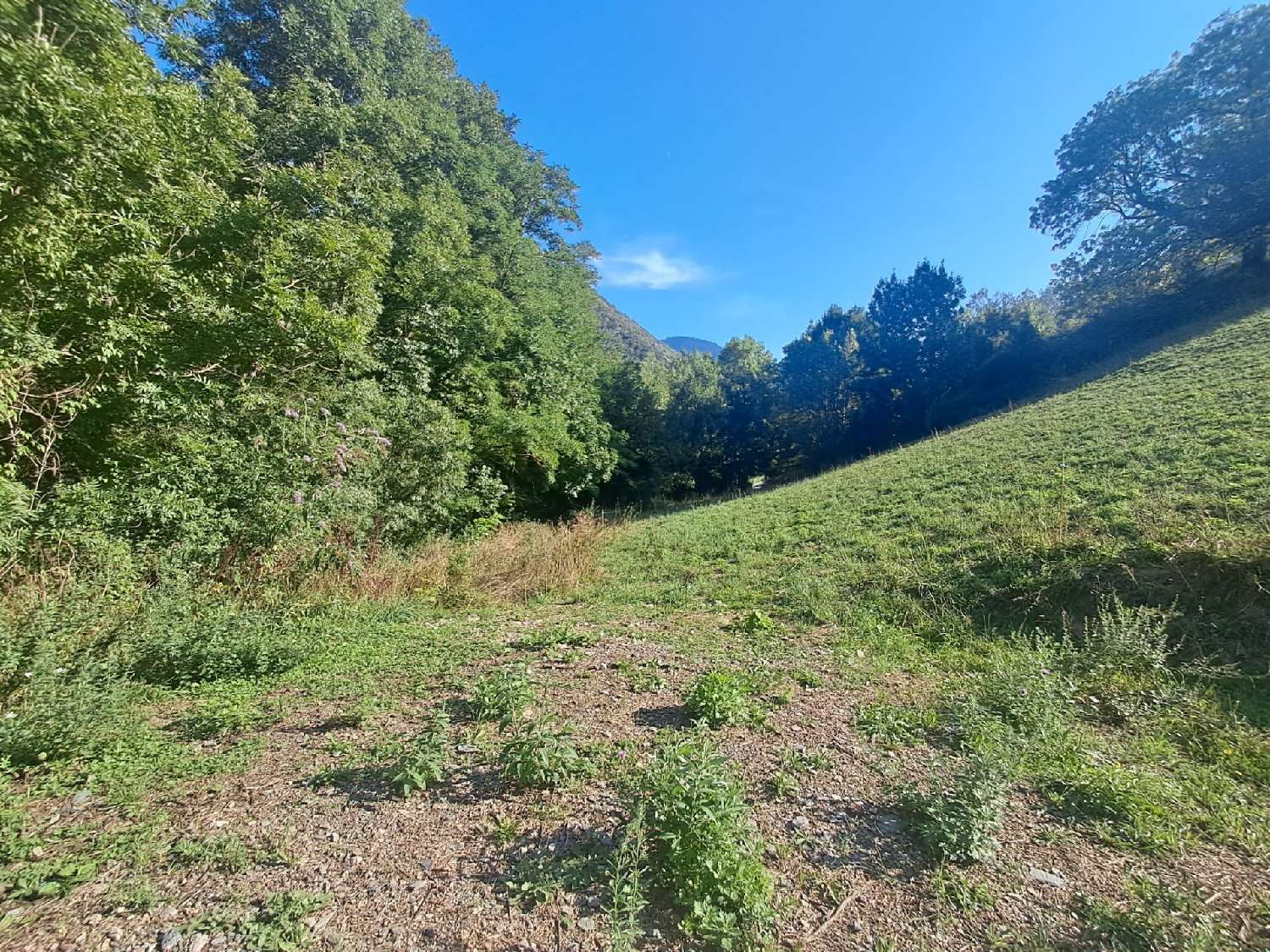 kaufen Grundstück Beyrède-Jumet Hautes-Pyrénées 2