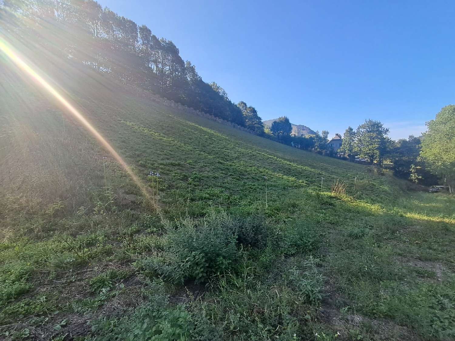 kaufen Grundstück Beyrède-Jumet Hautes-Pyrénées 4
