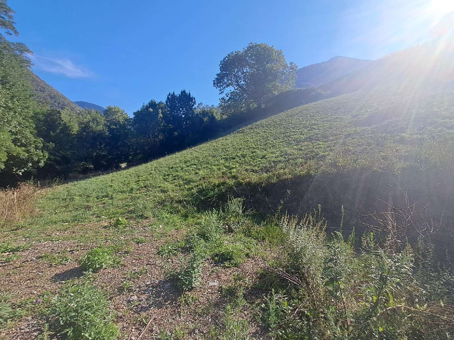 kaufen Grundstück Beyrède-Jumet Hautes-Pyrénées 5