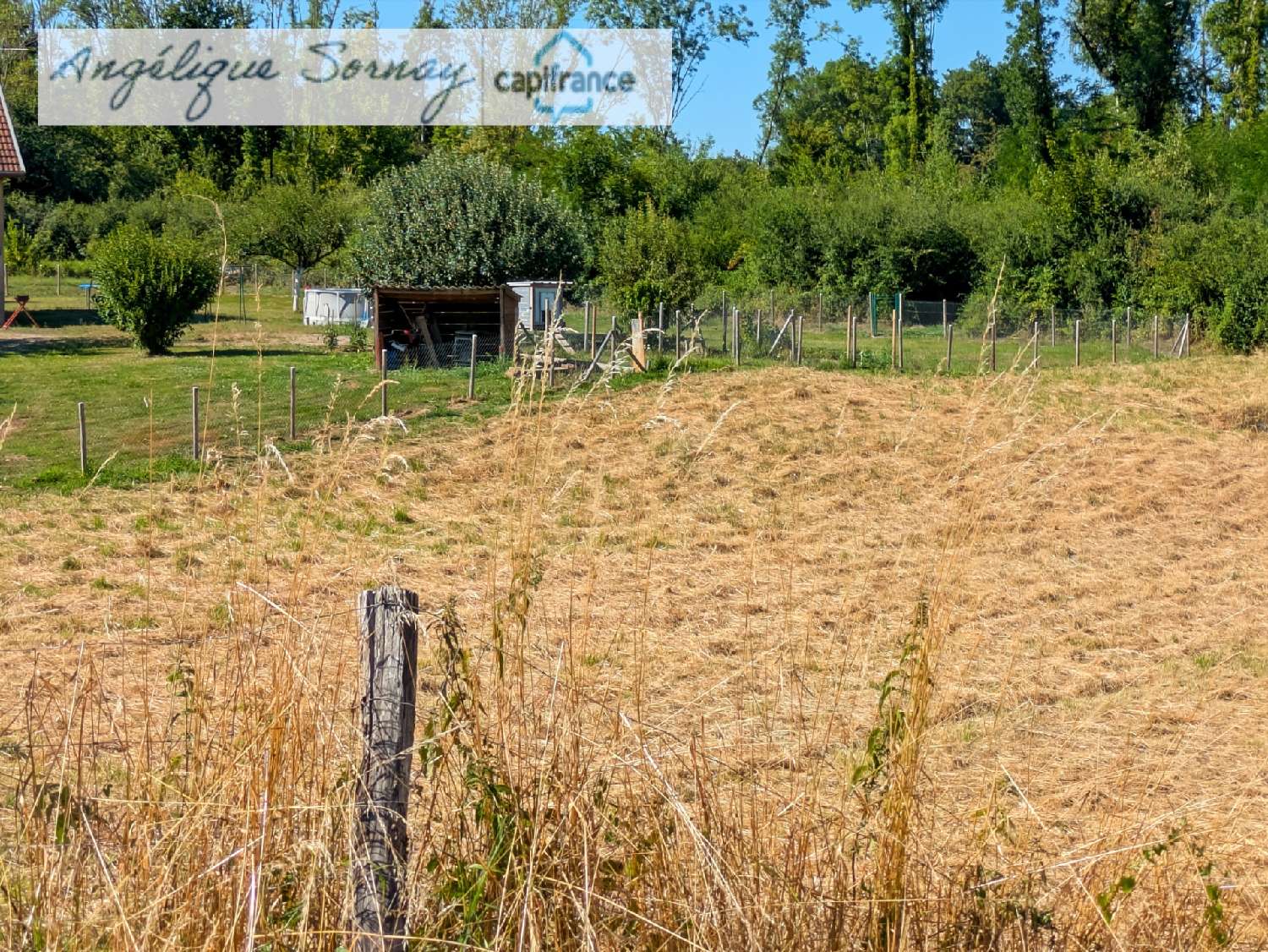  à vendre terrain Bletterans Jura 3