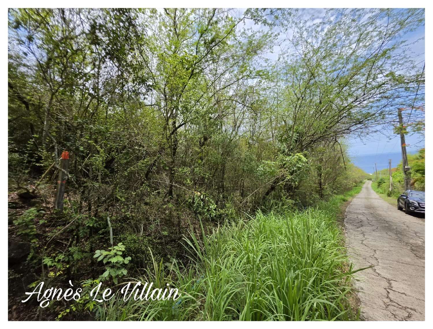  for sale terrain Bouillante Guadeloupe 1