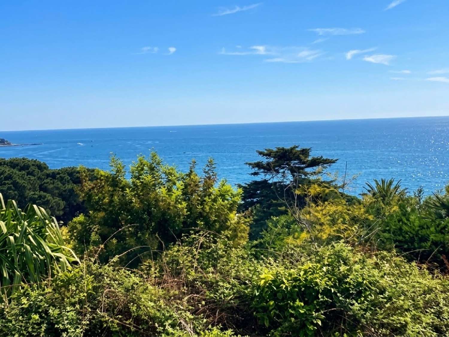 à vendre terrain Cannes Alpes-Maritimes 1