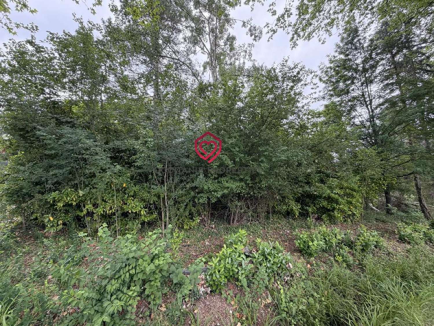  for sale terrain Castagnac Haute-Garonne 2
