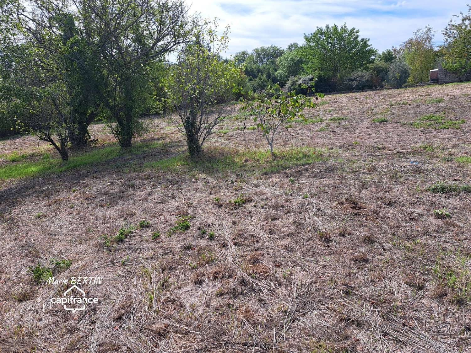 kaufen Grundstück Celles-sur-Belle Deux-Sèvres 3