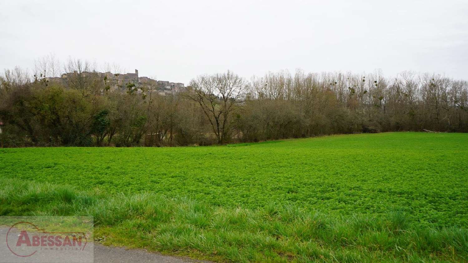  for sale terrain Cordes-Sur-Ciel Tarn 1