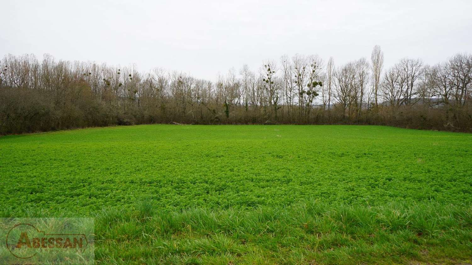  for sale terrain Cordes-Sur-Ciel Tarn 3