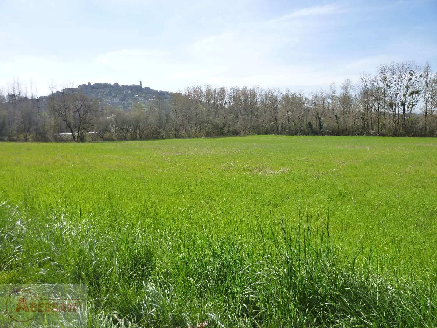  for sale terrain Cordes-Sur-Ciel Tarn 4