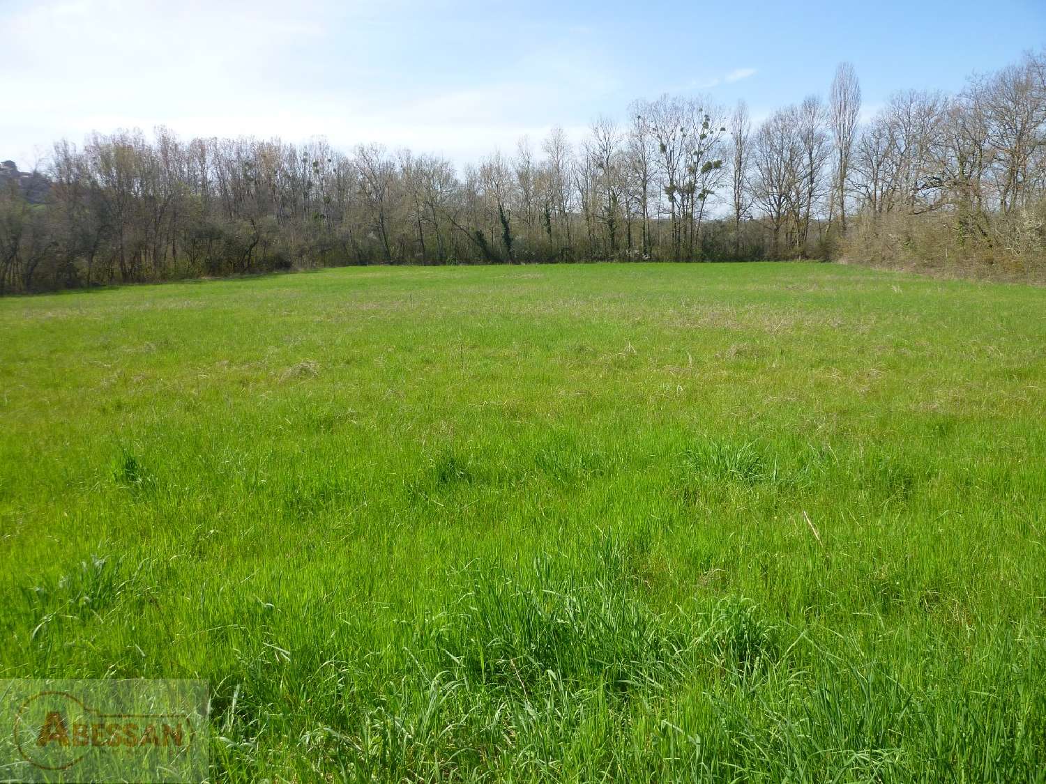  for sale terrain Cordes-Sur-Ciel Tarn 5