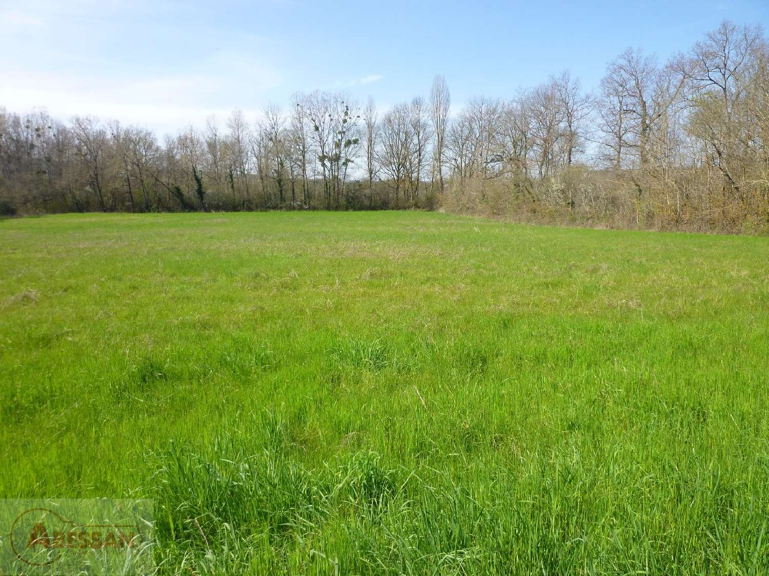  for sale terrain Cordes-Sur-Ciel Tarn 6