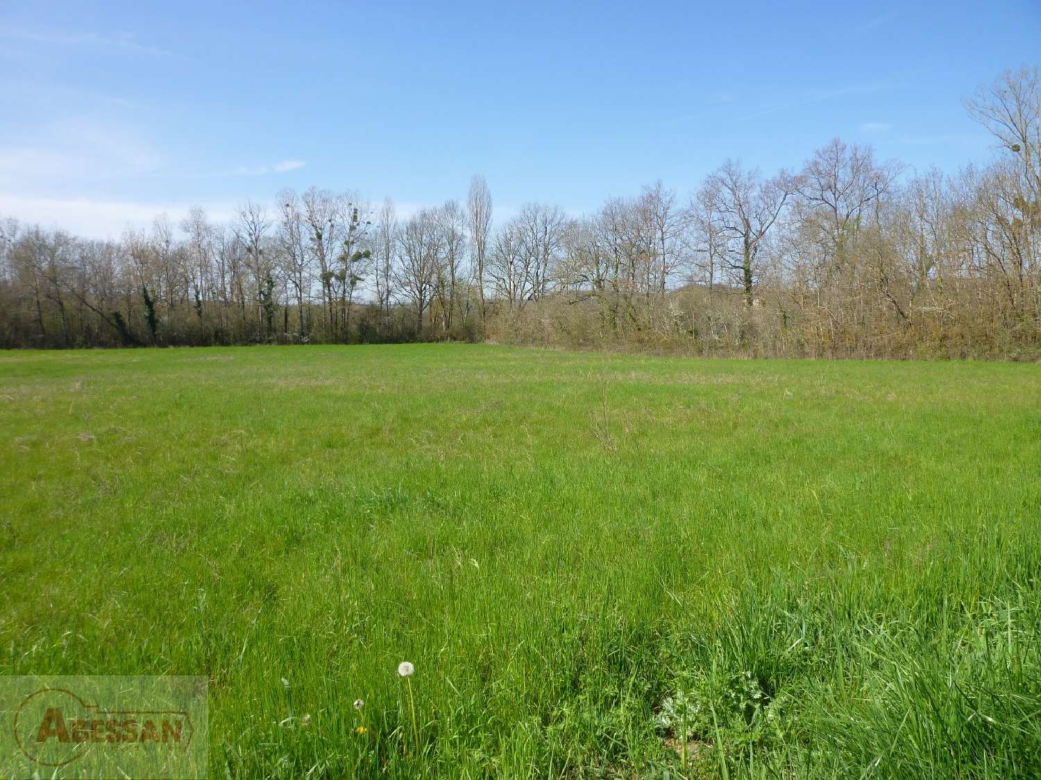 for sale terrain Cordes-Sur-Ciel Tarn 7