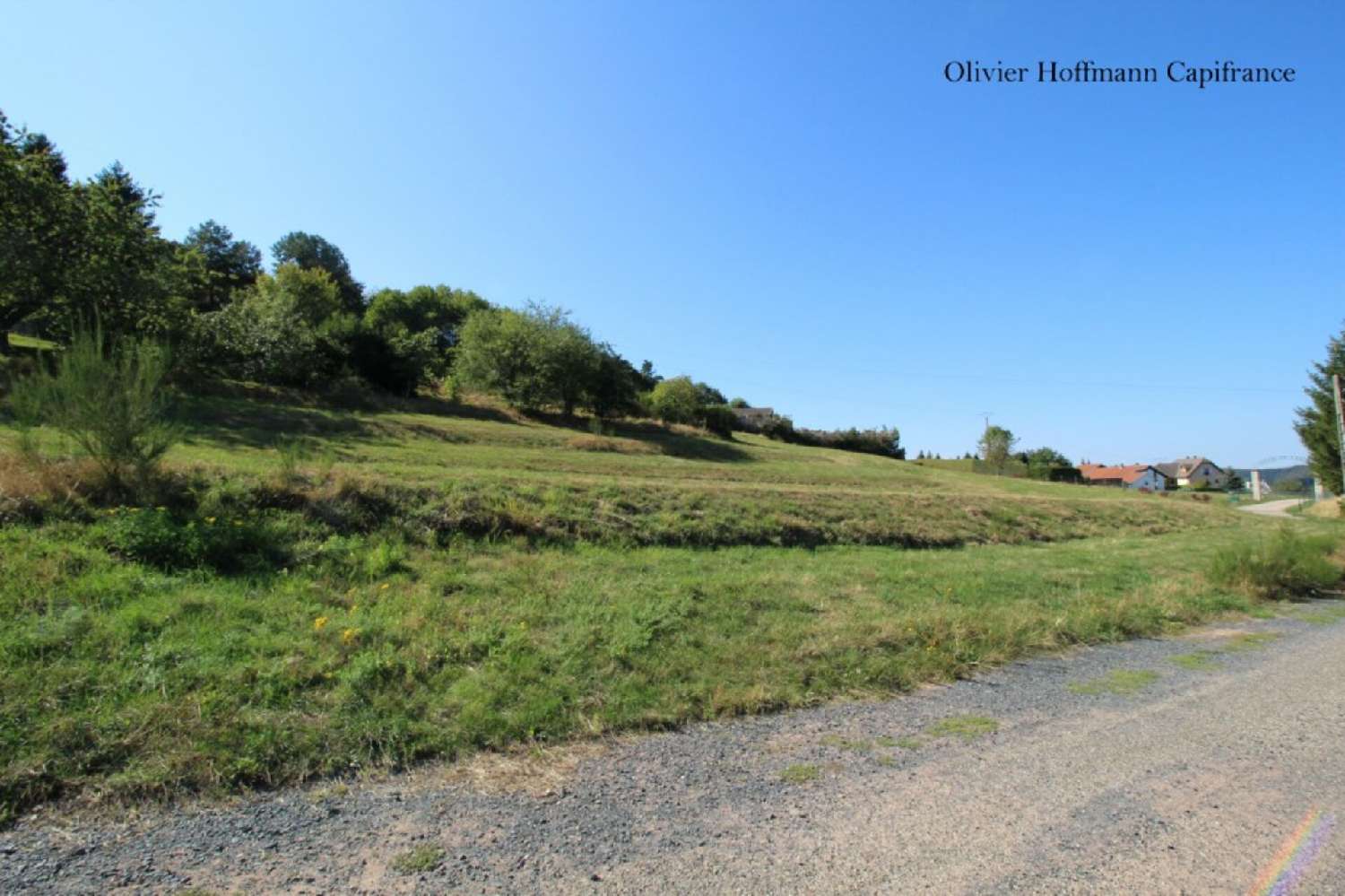 for sale terrain Dabo Moselle 2