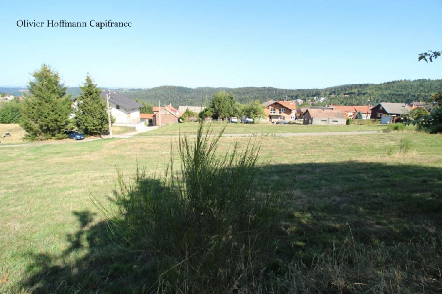 for sale terrain Dabo Moselle 3