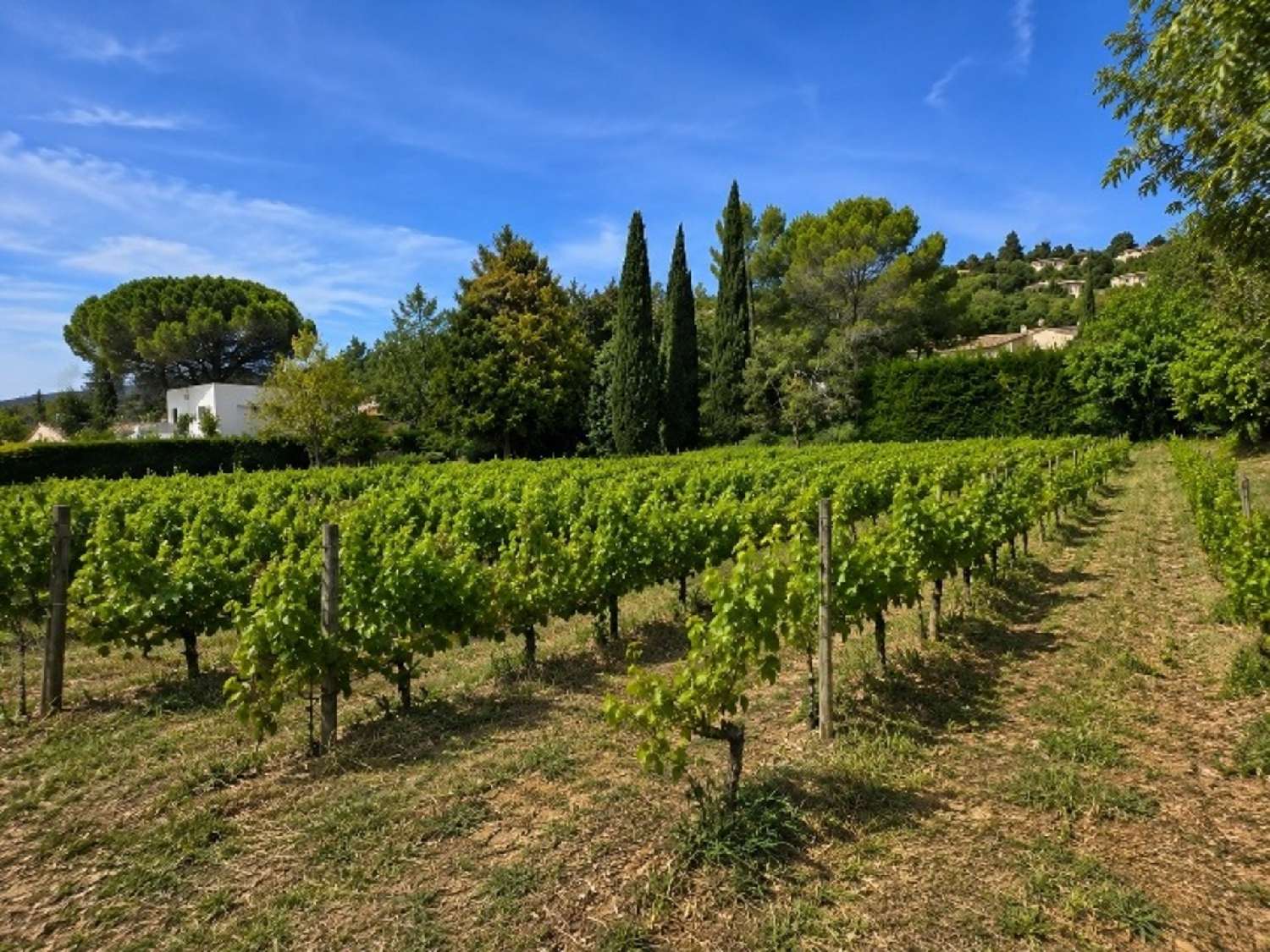  à vendre terrain Draguignan Var 2