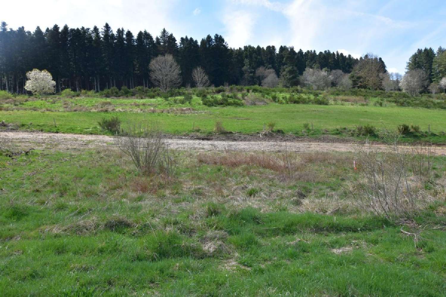 for sale terrain Dunières Haute-Loire 1