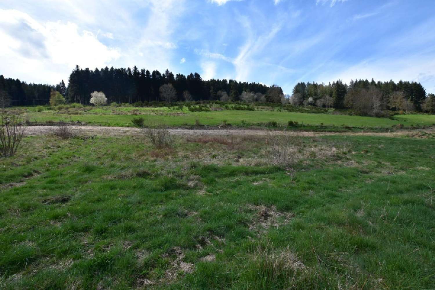for sale terrain Dunières Haute-Loire 2