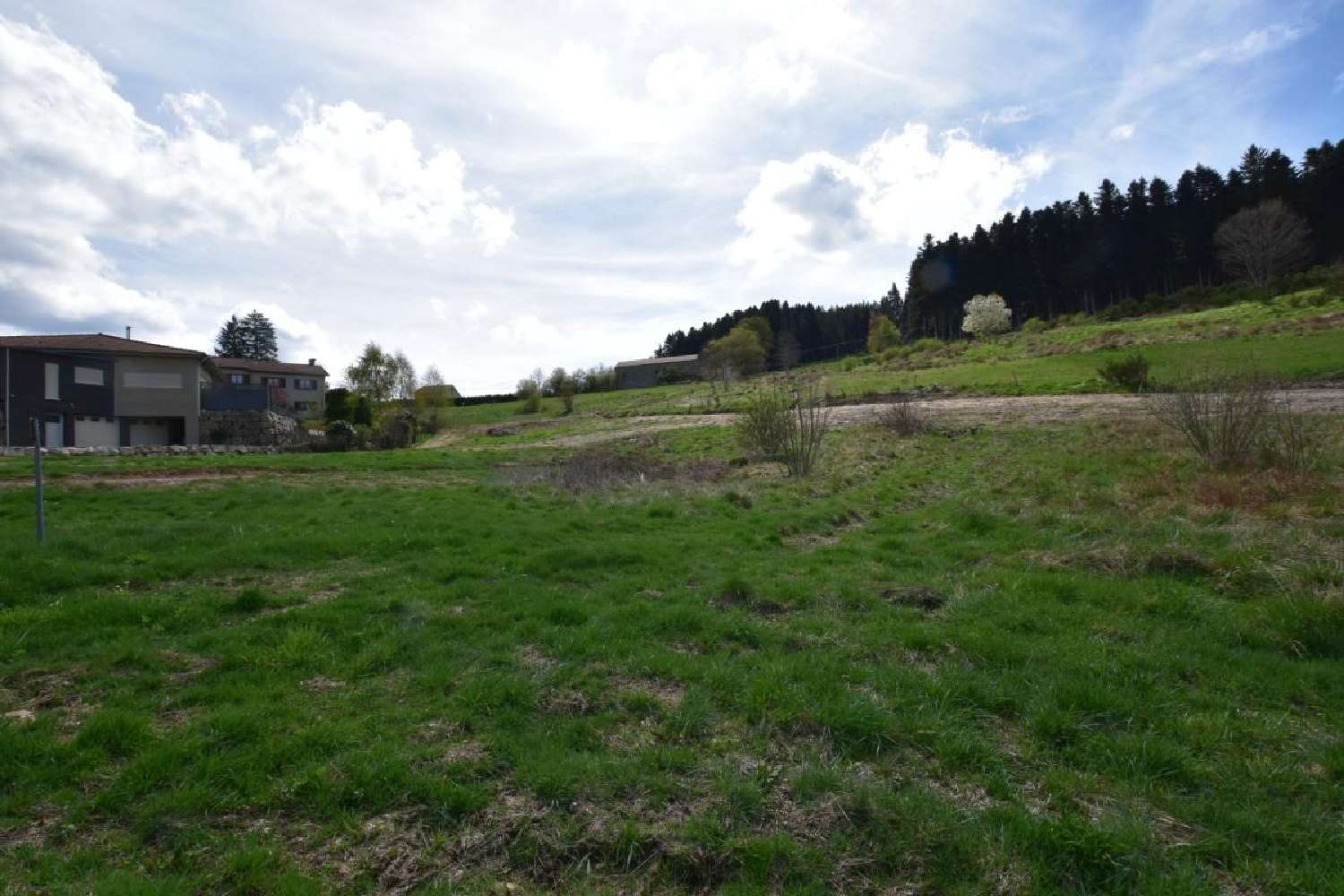 for sale terrain Dunières Haute-Loire 2