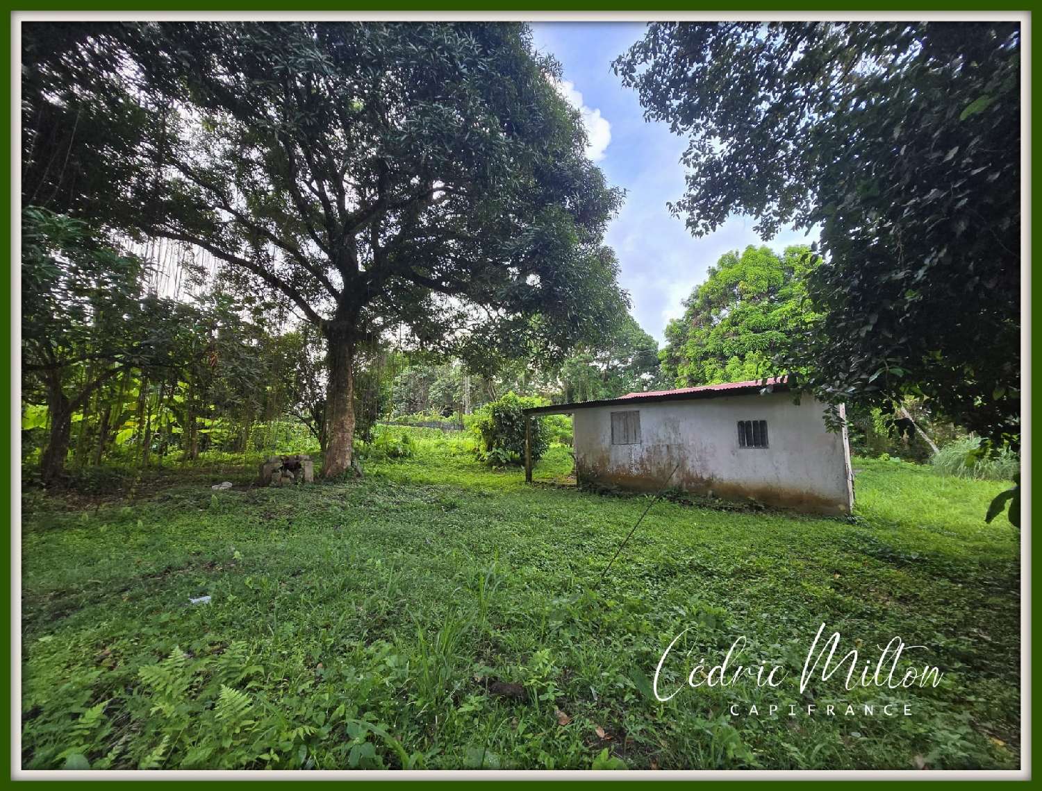 te koop terrein Gros-Morne Martinique 8