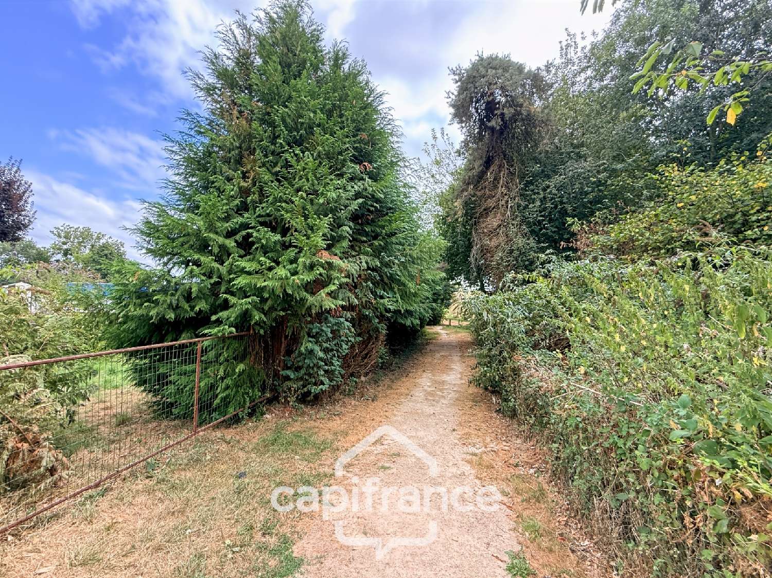 for sale terrain Gueltas Morbihan 6