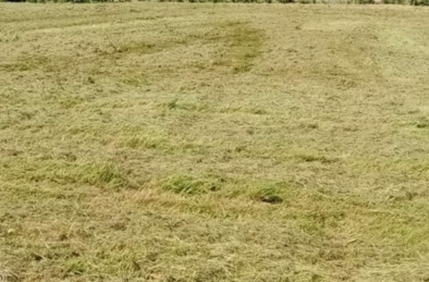 for sale terrain Heurteauville Seine-Maritime 1