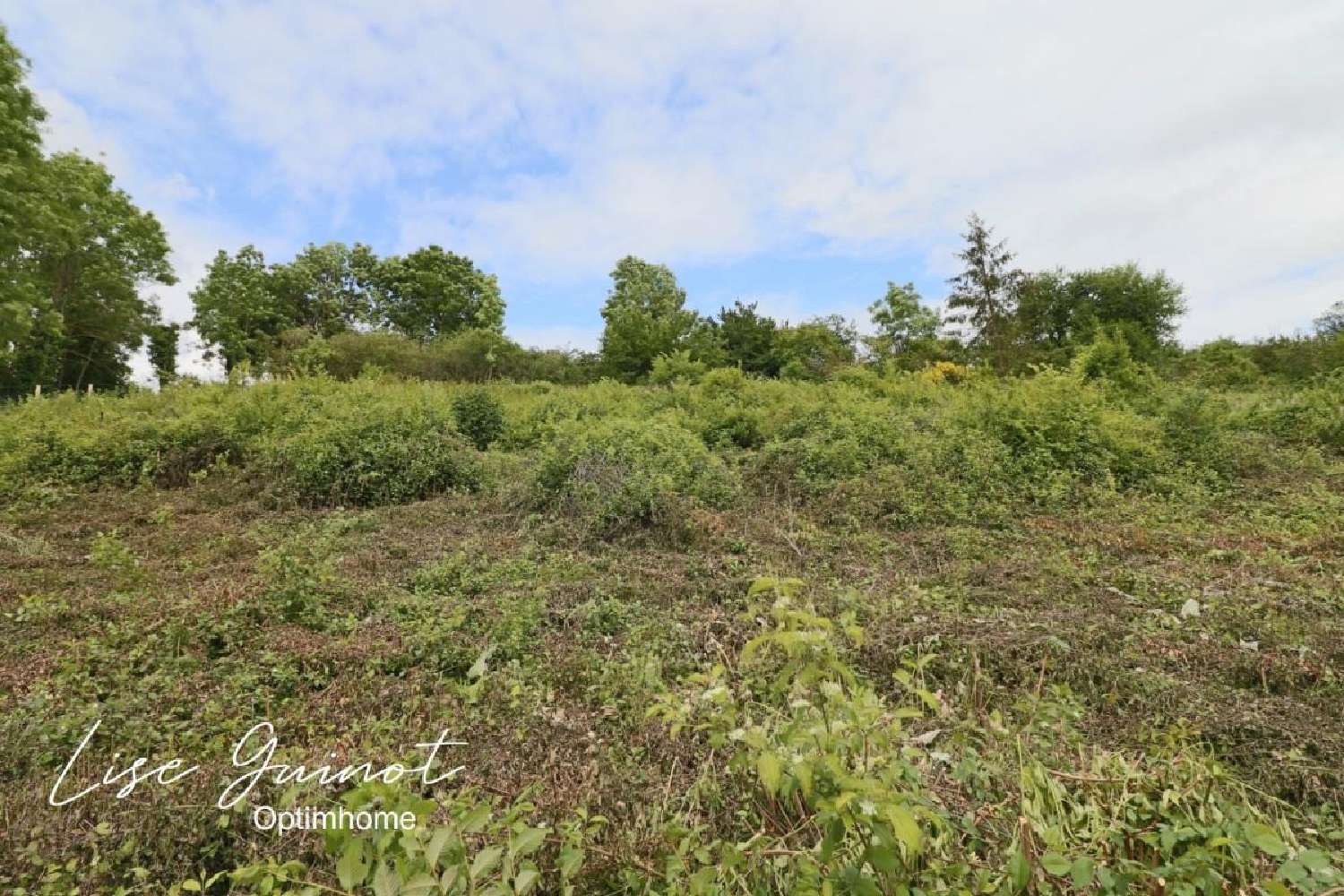 à vendre terrain Jumeauville Yvelines 4