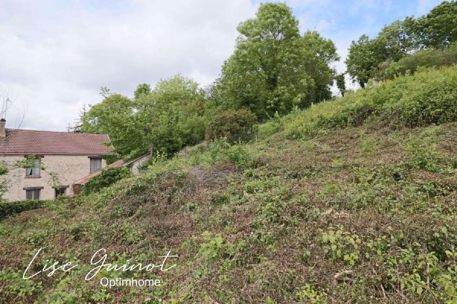 à vendre terrain Jumeauville Yvelines 7