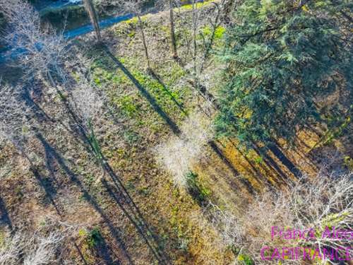 Jurançon Pyrénées-Atlantiques terrain foto 7407552