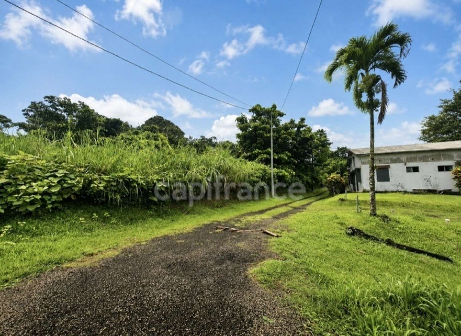 kaufen Grundstück L'Ajoupa-Bouillon Martinique 4