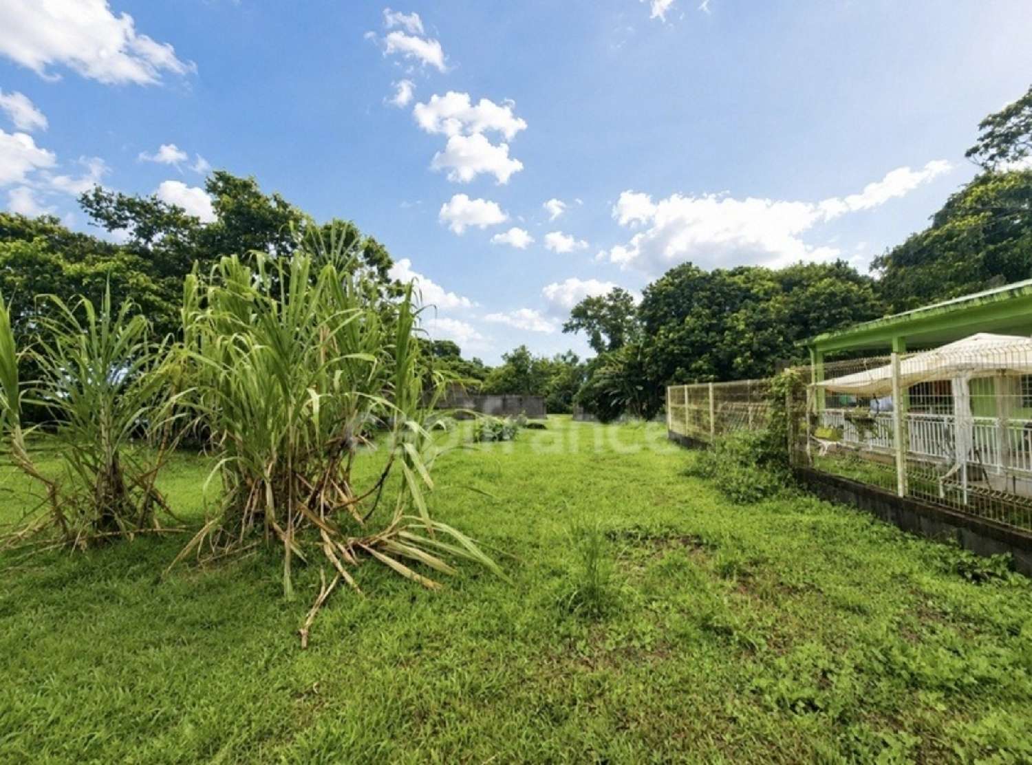 kaufen Grundstück L'Ajoupa-Bouillon Martinique 5