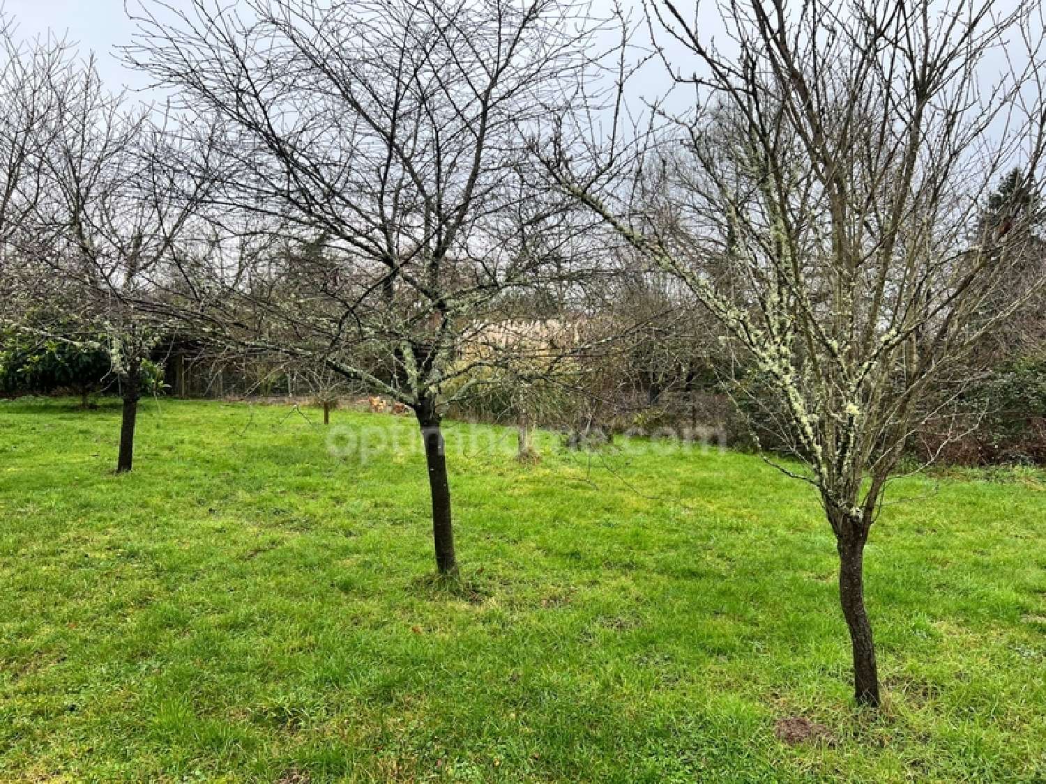  à vendre terrain Langon Loir-et-Cher 1