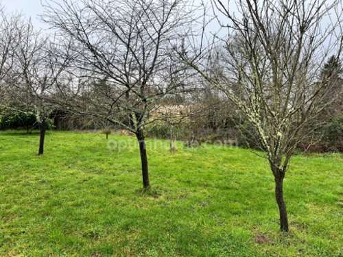 Langon Loir-et-Cher terrain foto 7409972