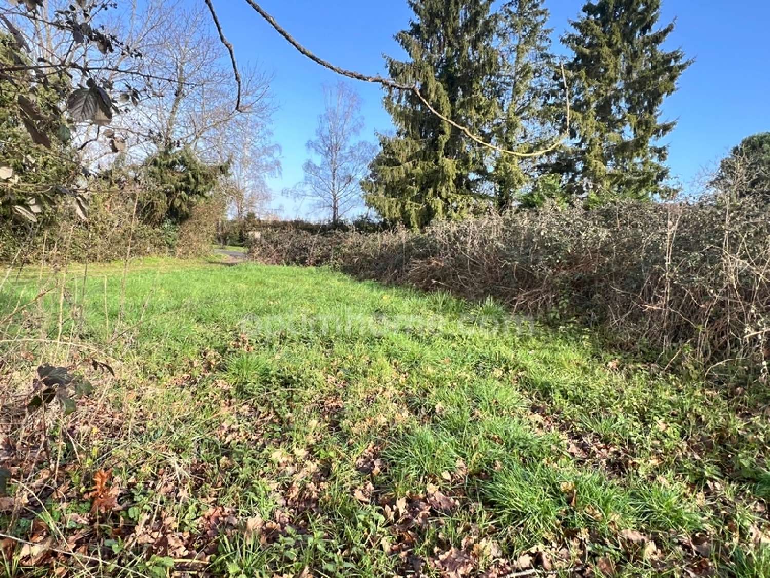  à vendre terrain Langon Loir-et-Cher 2