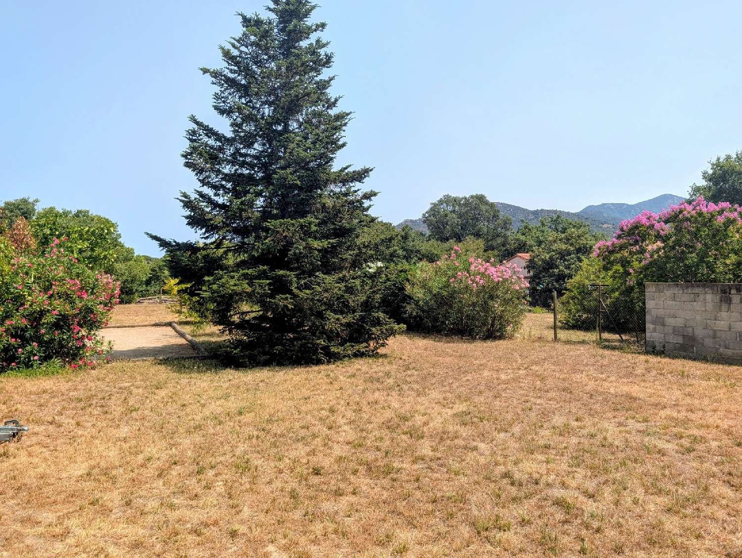 kaufen Grundstück Laroque-des-Albères Pyrénées-Orientales 2