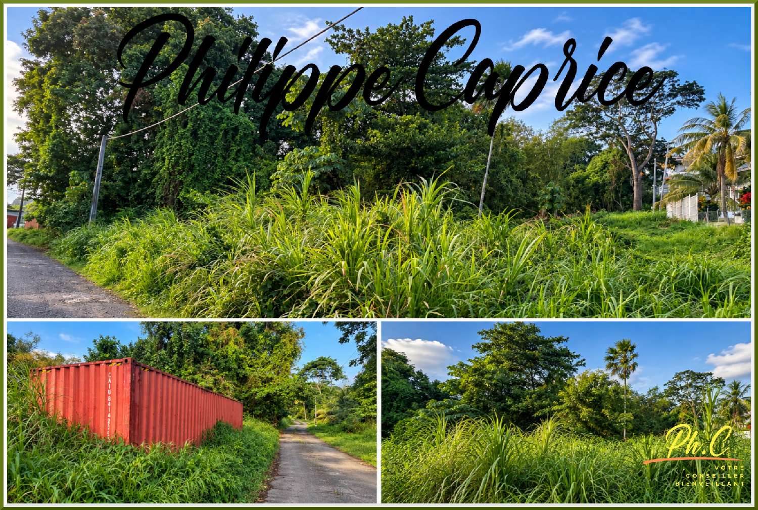  à vendre terrain Le François Martinique 1
