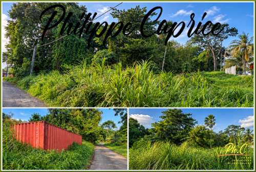 Le François Martinique terrain foto 7416996