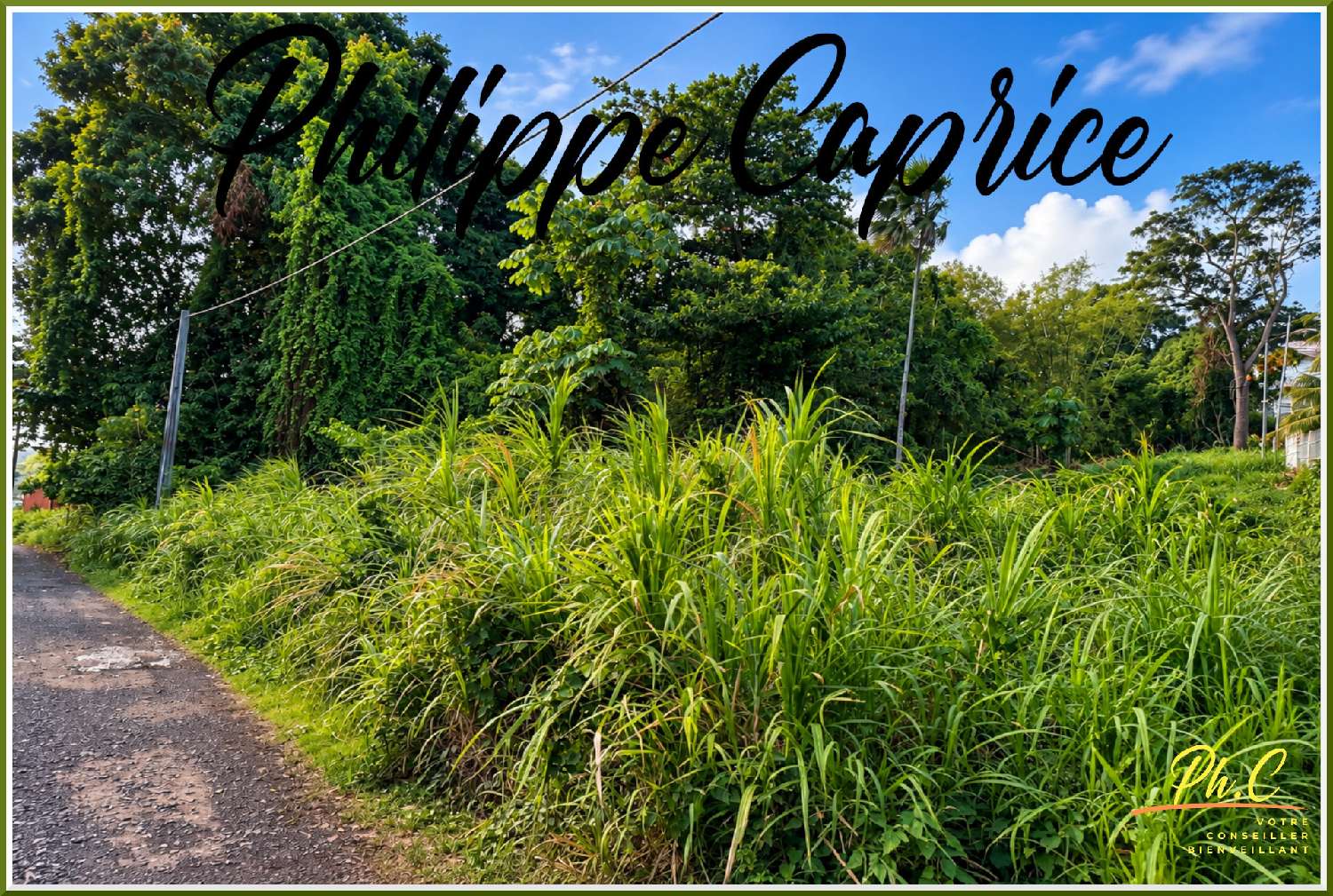  à vendre terrain Le François Martinique 2
