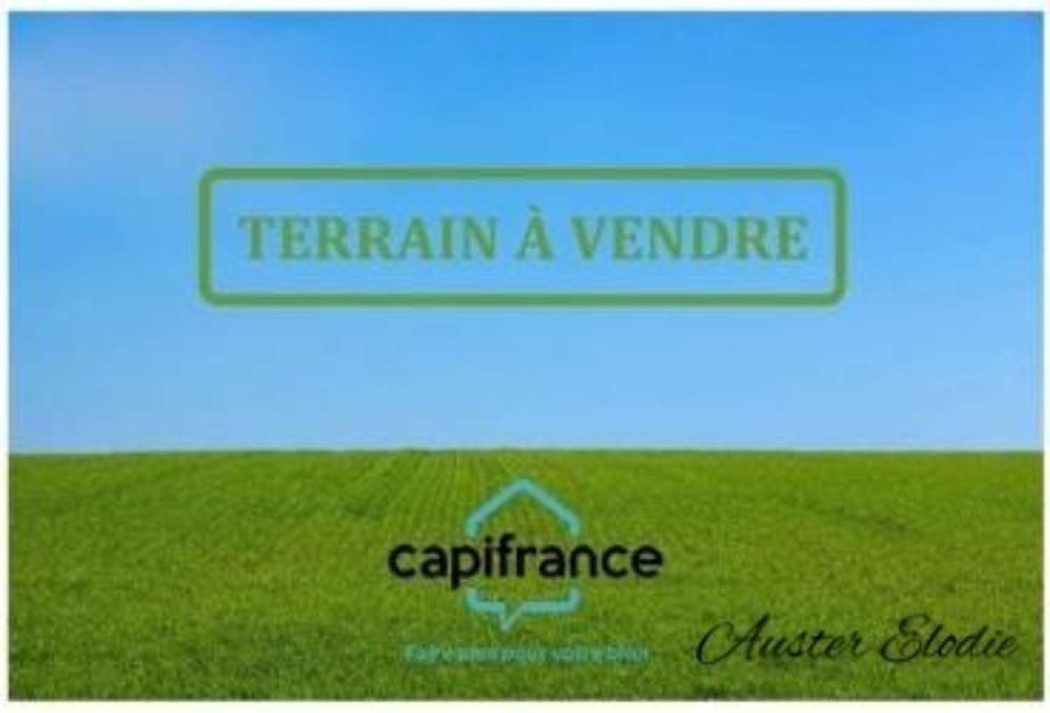  à vendre terrain Le Moule Guadeloupe 1