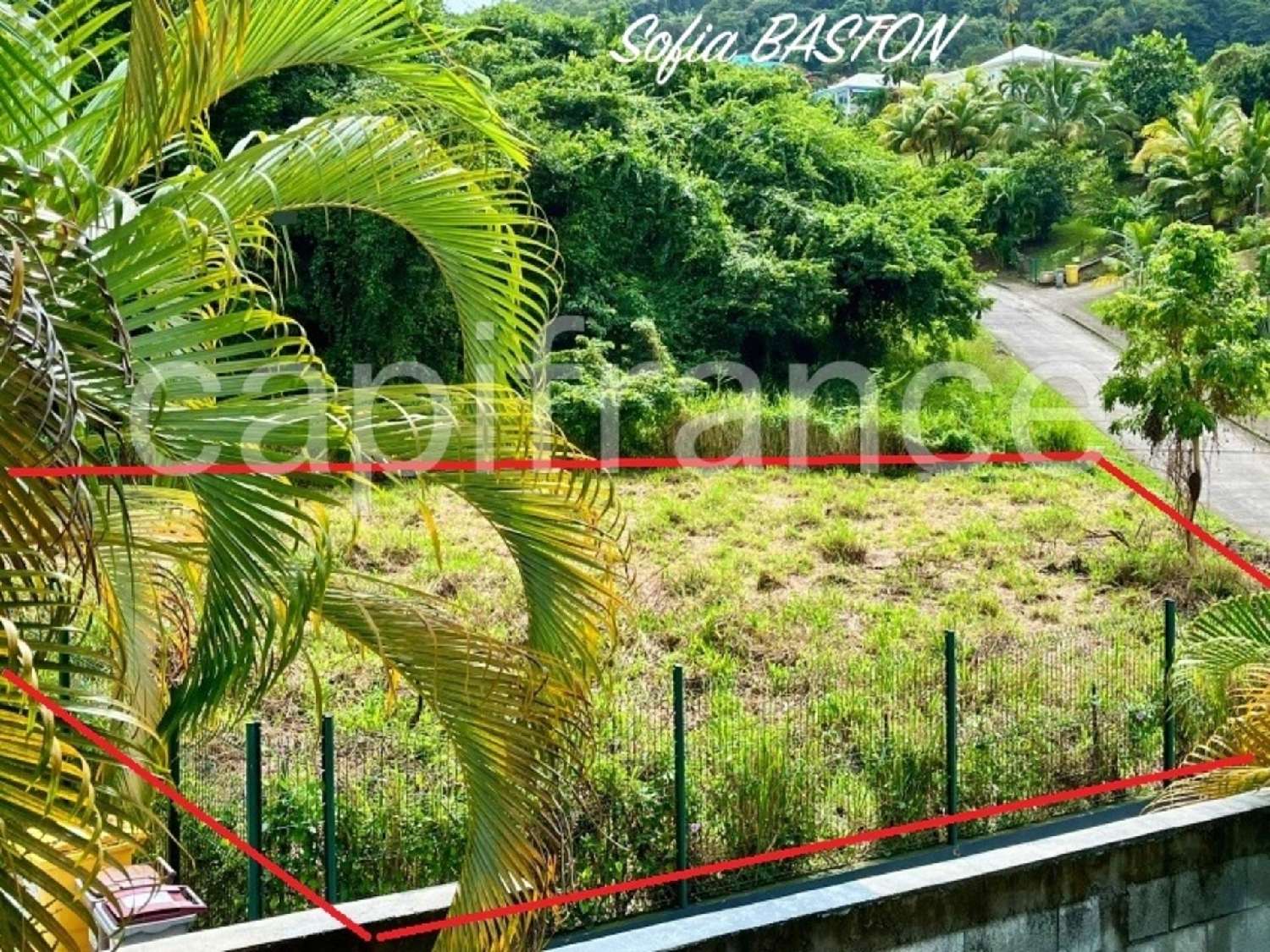 te koop terrein Les Trois-Îlets Martinique 2