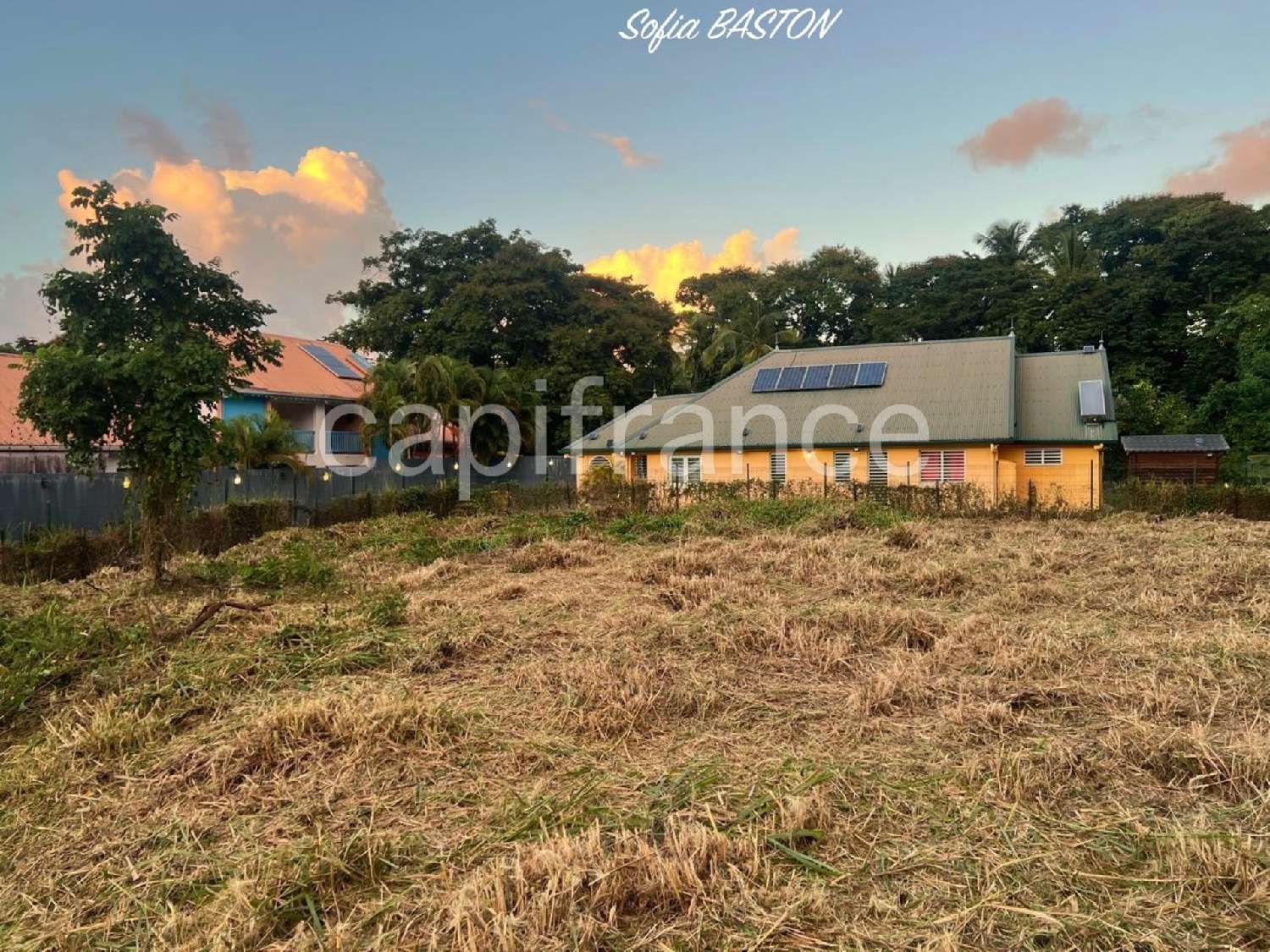 te koop terrein Les Trois-Îlets Martinique 7