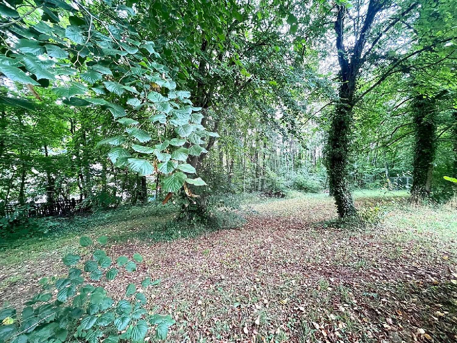 à vendre terrain Longuyon Meurthe-et-Moselle 1