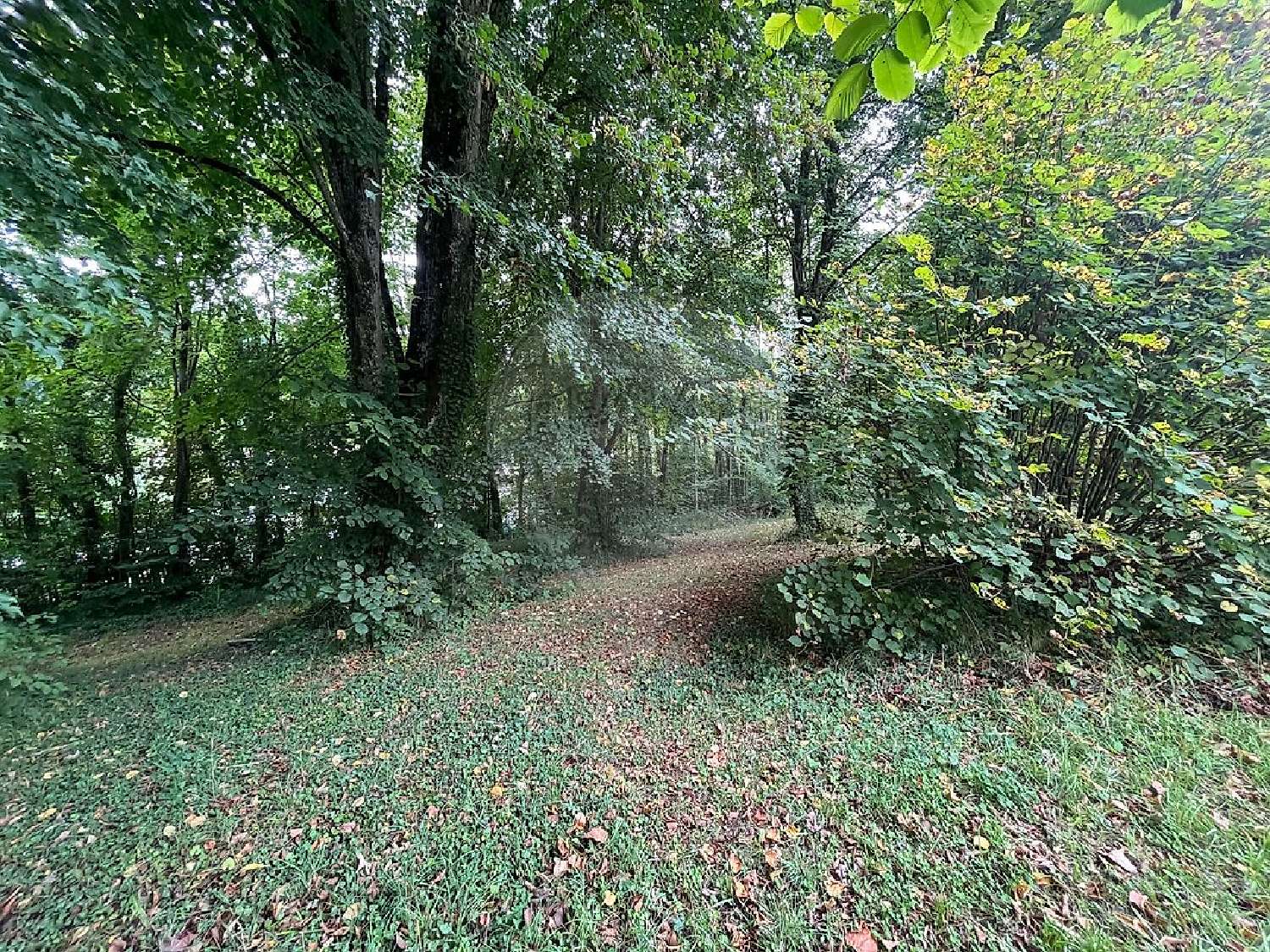 à vendre terrain Longuyon Meurthe-et-Moselle 2