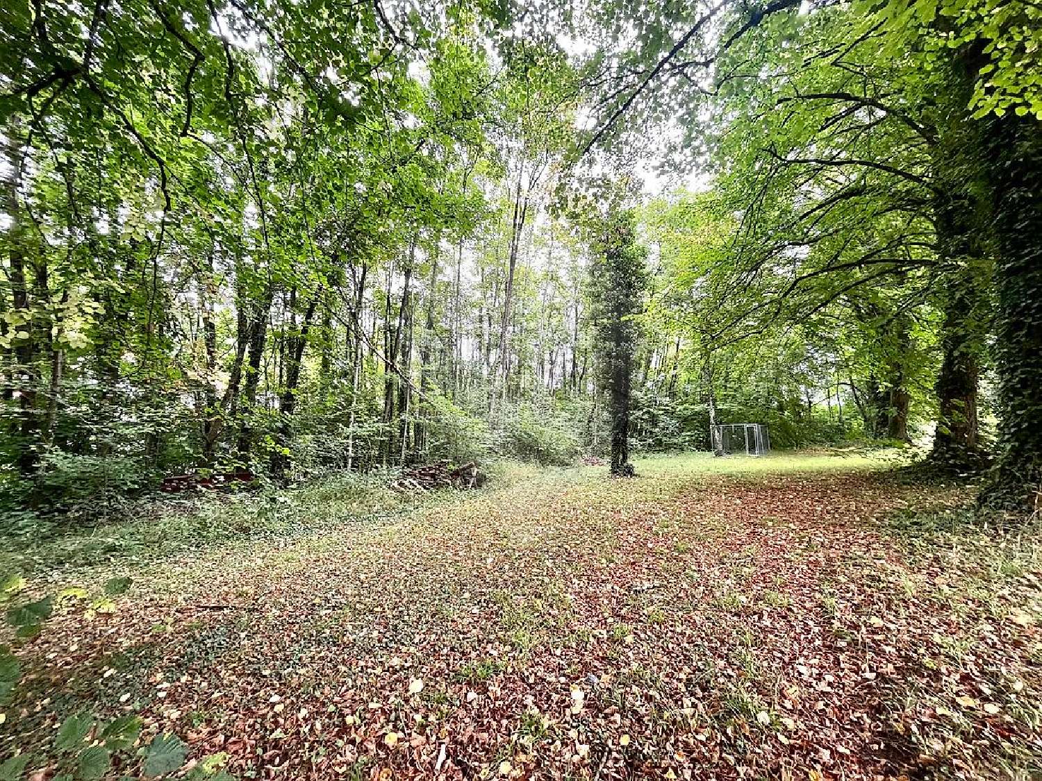 à vendre terrain Longuyon Meurthe-et-Moselle 3