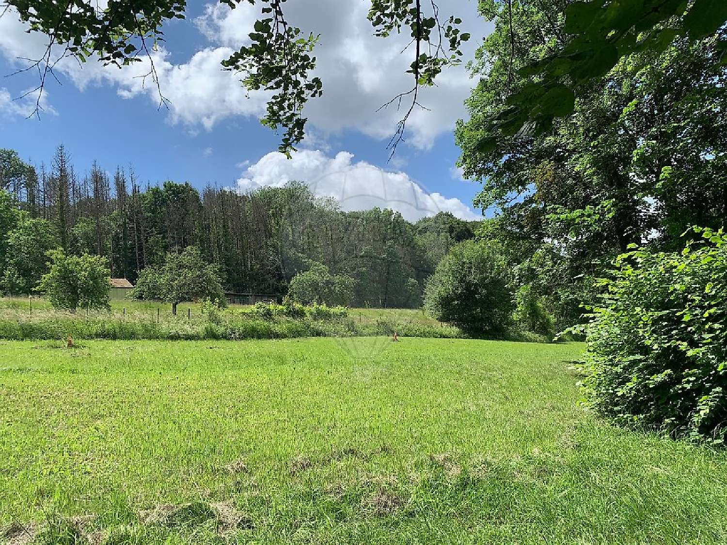à vendre terrain Longuyon Meurthe-et-Moselle 6