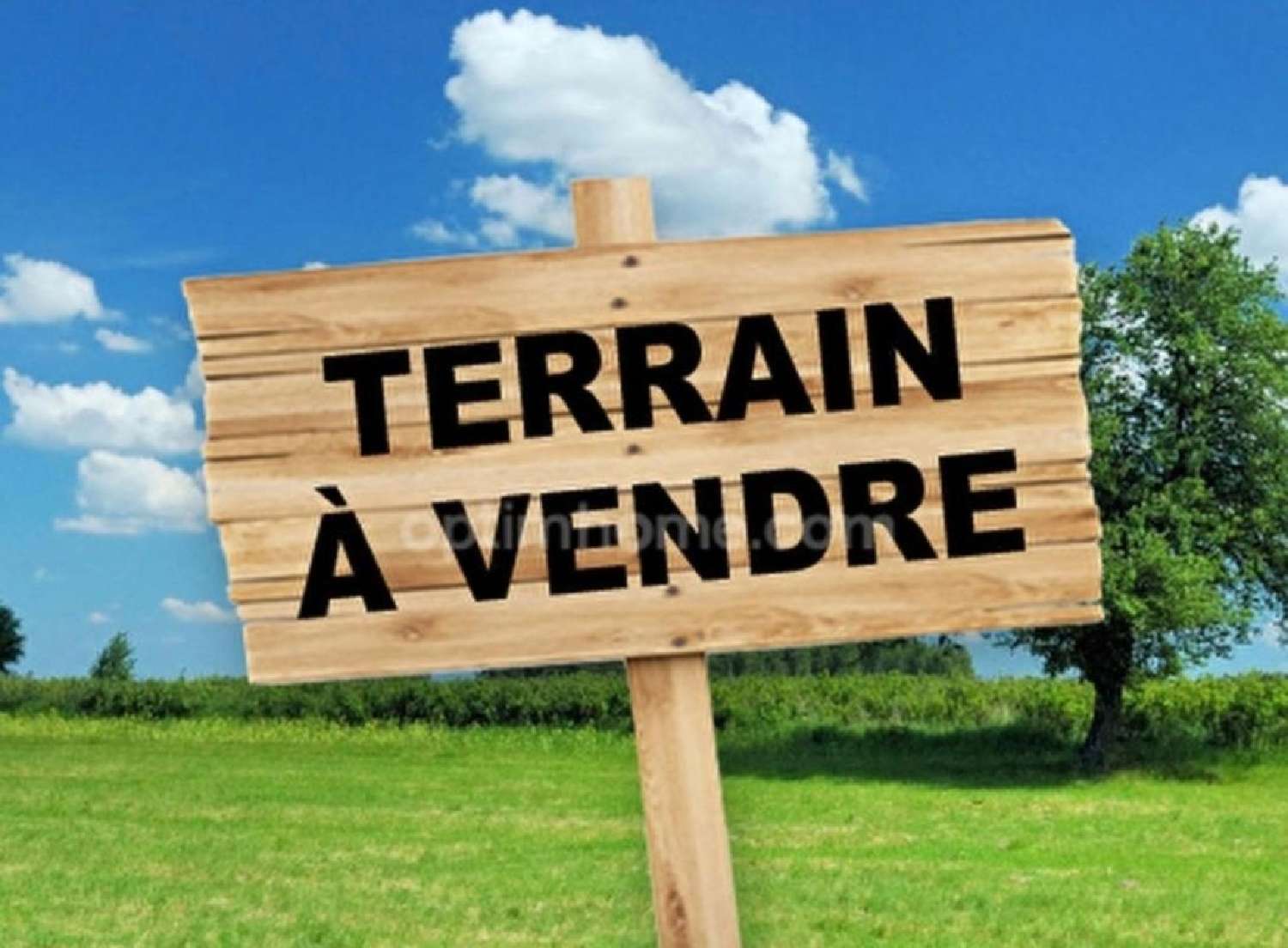  for sale terrain Lunéville Meurthe-et-Moselle 1