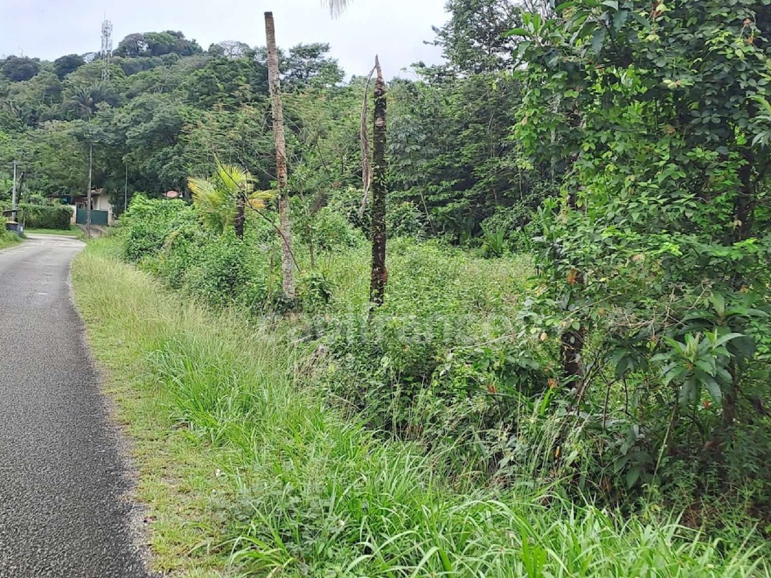  en venta terreno Matoury Guyane 3