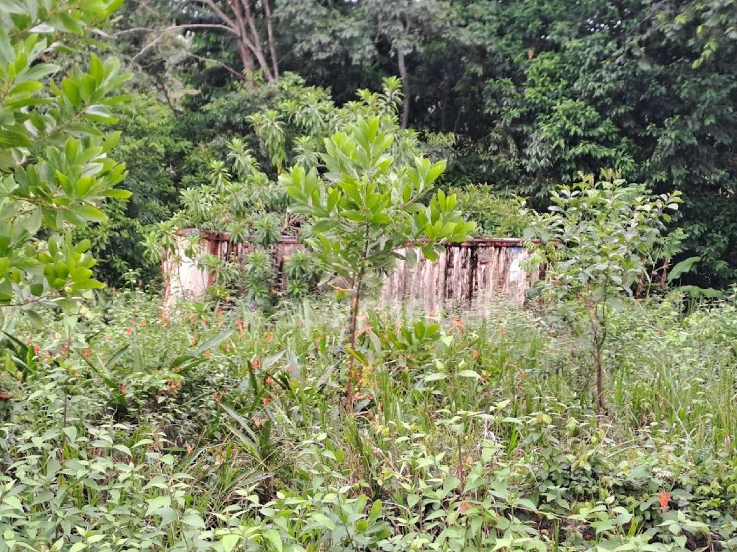  en venta terreno Matoury Guyane 4
