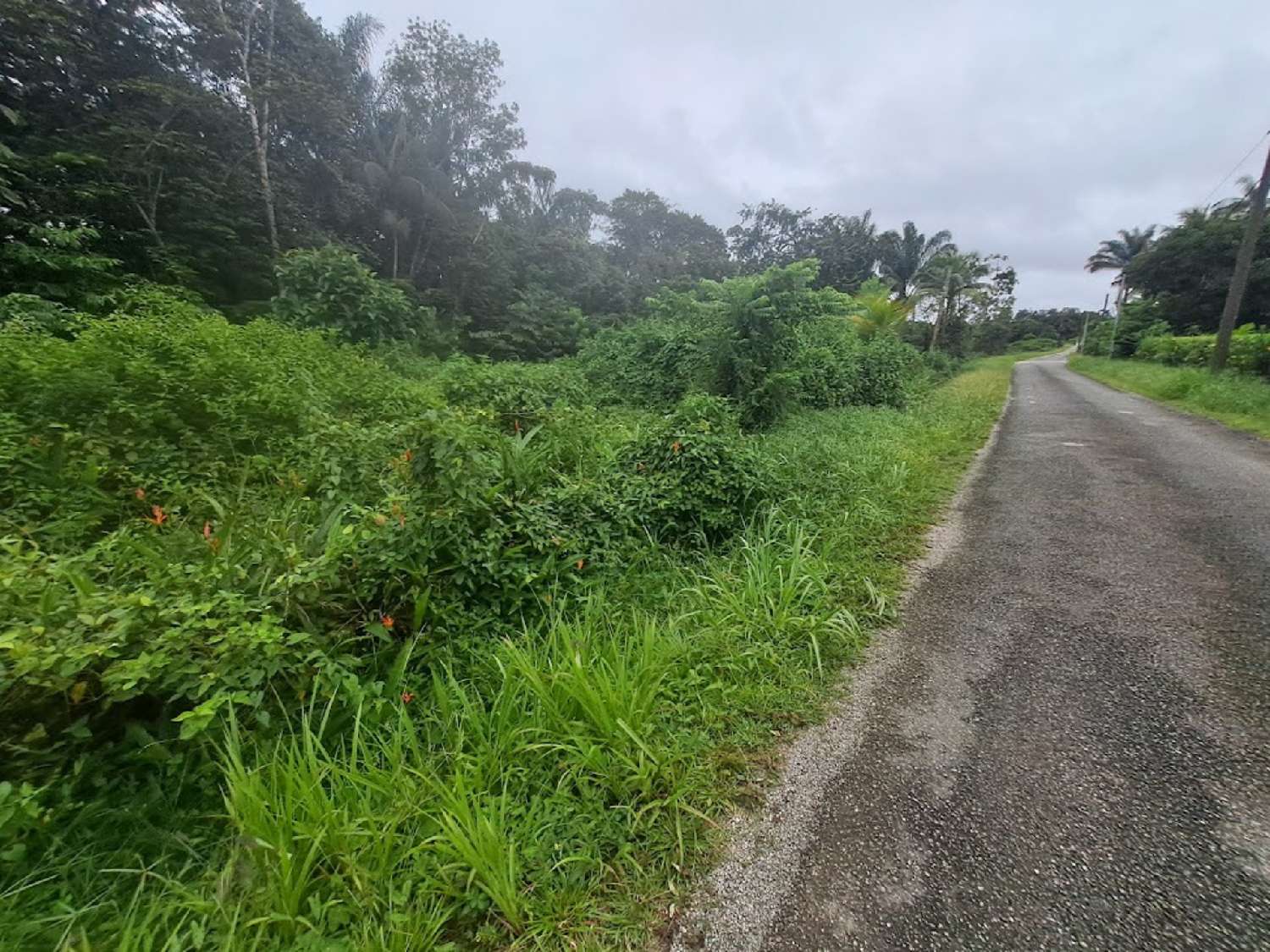  en venta terreno Matoury Guyane 6