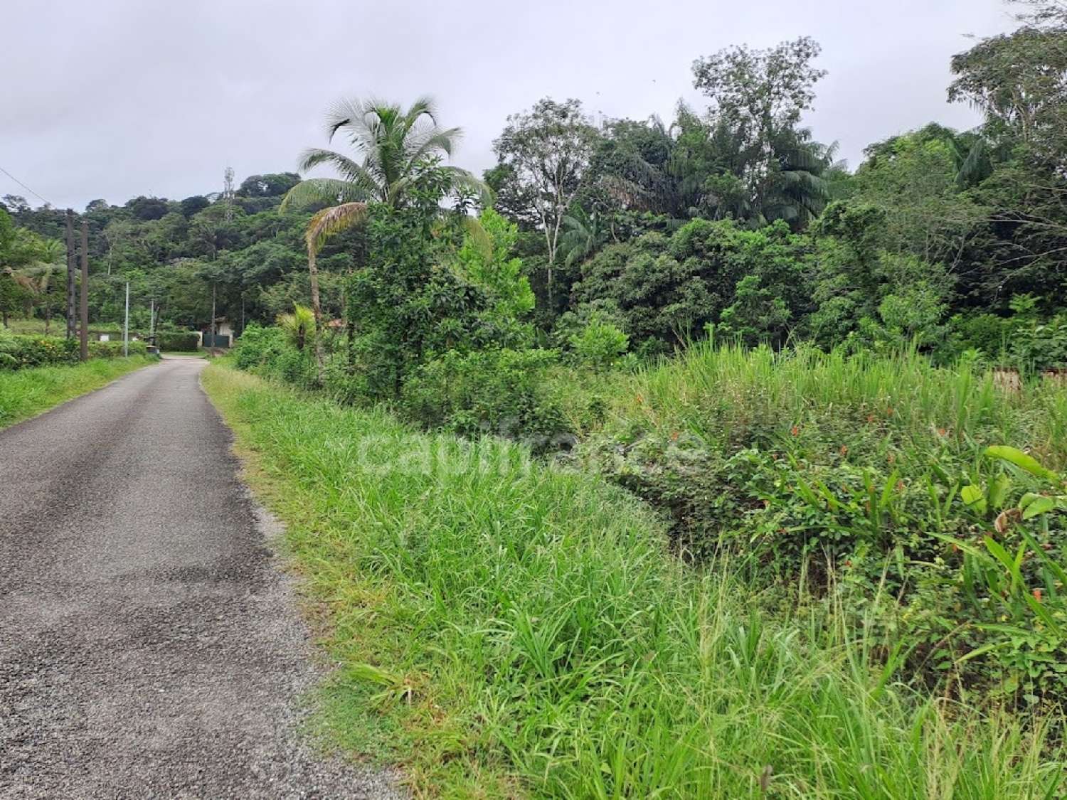  en venta terreno Matoury Guyane 7